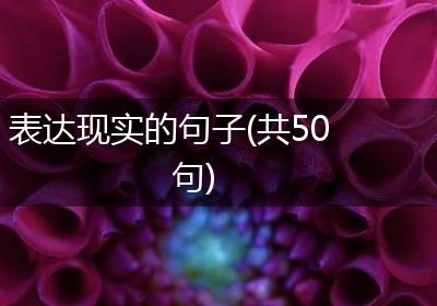 表达现实的句子(共50句)