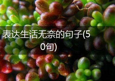表达生活无奈的句子(50句)