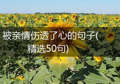 被亲情伤透了心的句子(精选50句)