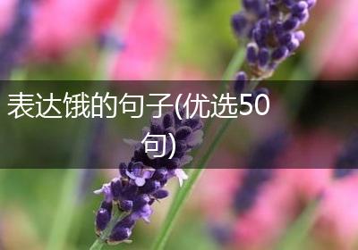 表达饿的句子(优选50句)