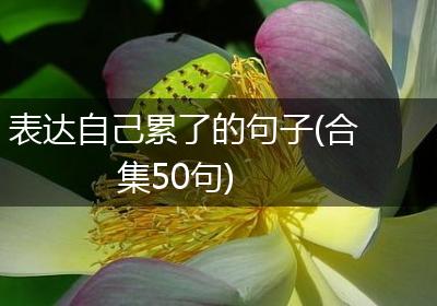 表达自己累了的句子(合集50句)