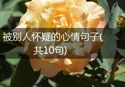 被别人怀疑的心情句子(共10句)