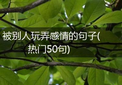 被别人玩弄感情的句子(热门50句)