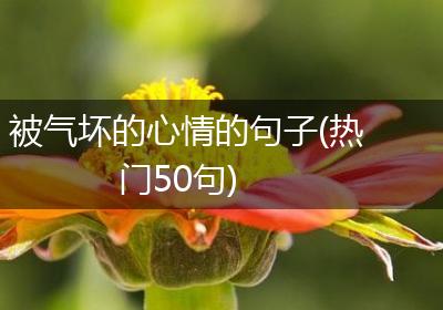 被气坏的心情的句子(热门50句)