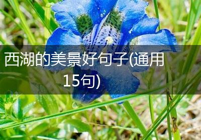 西湖的美景好句子(通用15句)
