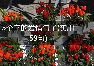 5个字的爱情句子(实用59句)