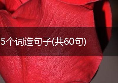 5个词造句子(共60句)