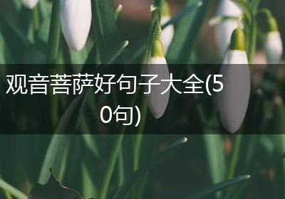 观音菩萨好句子大全(50句)