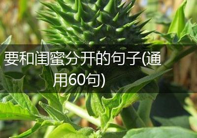 要和闺蜜分开的句子(通用60句)