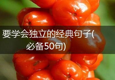 要学会独立的经典句子(必备50句)