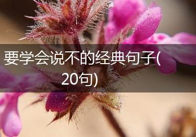 要学会说不的经典句子(20句)