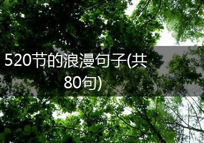 520节的浪漫句子(共80句)