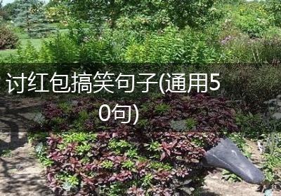 讨红包搞笑句子(通用50句)