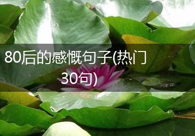80后的感慨句子(热门30句)