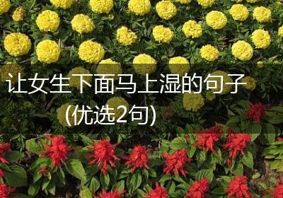 让女生下面马上湿的句子(优选2句)