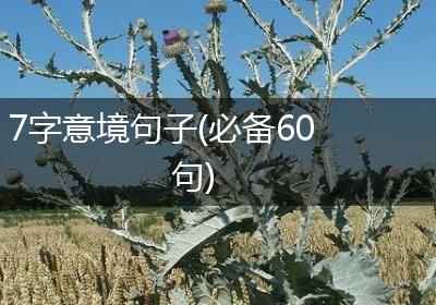 7字意境句子(必备60句)