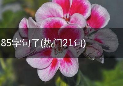 85字句子(热门21句)