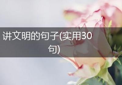 讲文明的句子(实用30句)