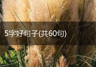 5字好句子(共60句)