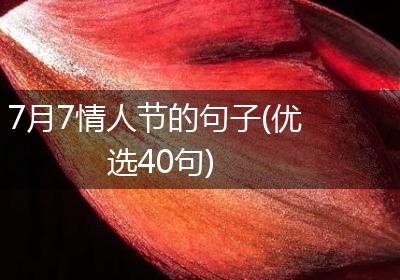 7月7情人节的句子(优选40句)