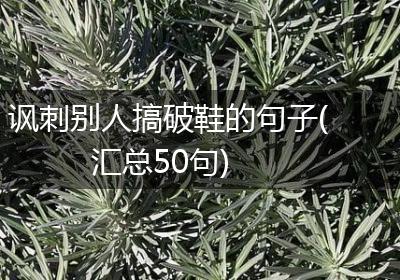 讽刺别人搞破鞋的句子(汇总50句)