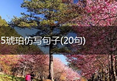5琥珀仿写句子(20句)