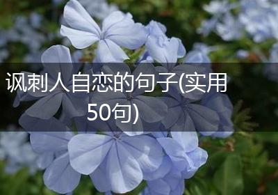 讽刺人自恋的句子(实用50句)