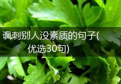 讽刺别人没素质的句子(优选30句)