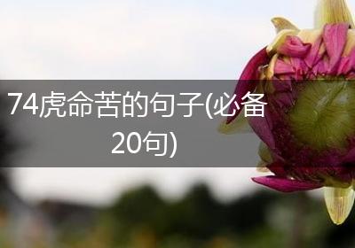 74虎命苦的句子(必备20句)