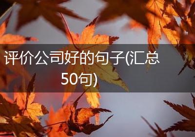 评价公司好的句子(汇总50句)