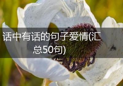 话中有话的句子爱情(汇总50句)