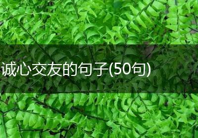 诚心交友的句子(50句)