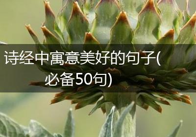 诗经中寓意美好的句子(必备50句)