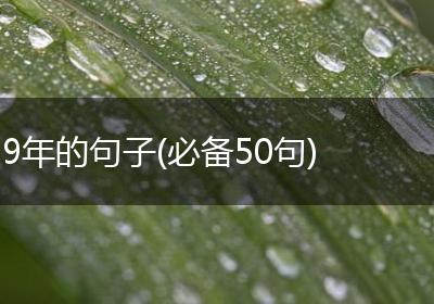 9年的句子(必备50句)
