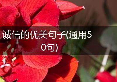 诚信的优美句子(通用50句)