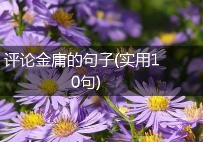评论金庸的句子(实用10句)