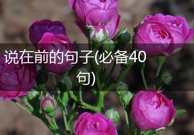 说在前的句子(必备40句)
