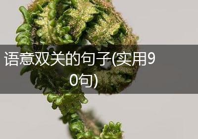 语意双关的句子(实用90句)