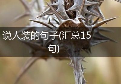 说人装的句子(汇总15句)