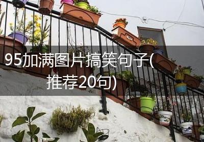 95加满图片搞笑句子(推荐20句)