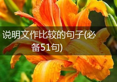 说明文作比较的句子(必备51句)
