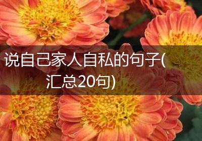 说自己家人自私的句子(汇总20句)