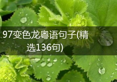 97变色龙粤语句子(精选136句)