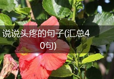说说头疼的句子(汇总40句)
