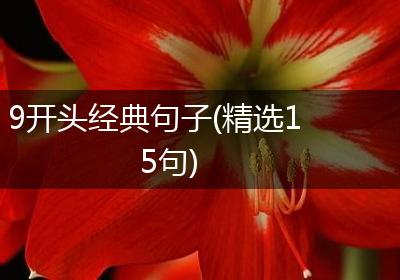 9开头经典句子(精选15句)