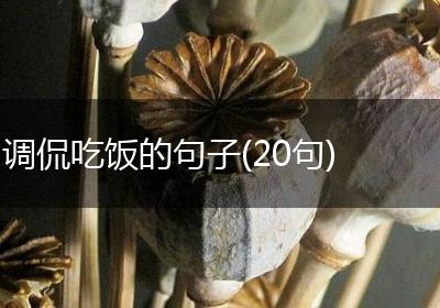 调侃吃饭的句子(20句)