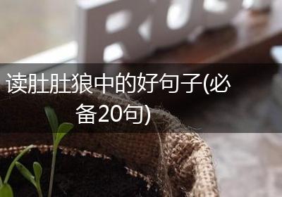 读肚肚狼中的好句子(必备20句)