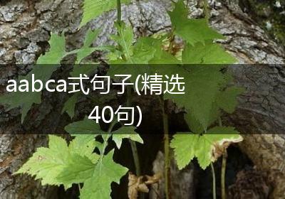 aabca式句子(精选40句)