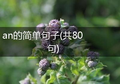 an的简单句子(共80句)
