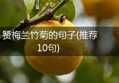 赞梅兰竹菊的句子(推荐10句)